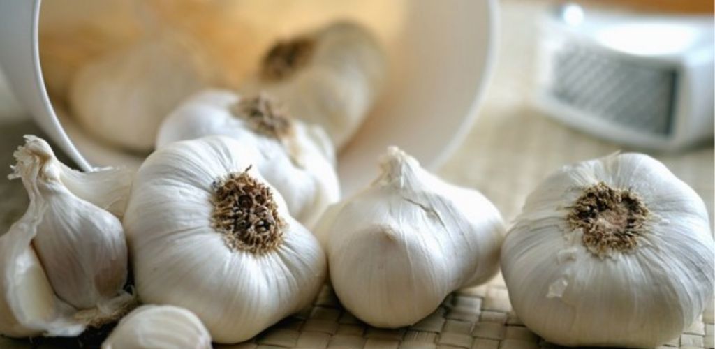 Garlic is without a doubt one of the most powerful natural antibiotics and has been shown to be particularly effective in fighting 14 different infections .