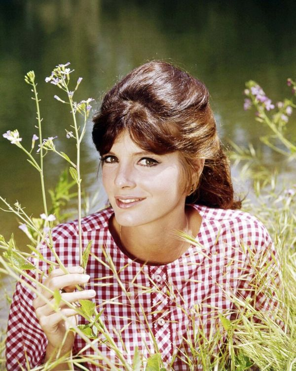 A Captivating Journey with Katharine Ross, the Hollywood Bombshell