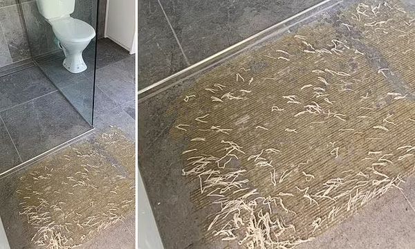 Mom's plea for help after 'nightmare' find in bathroom