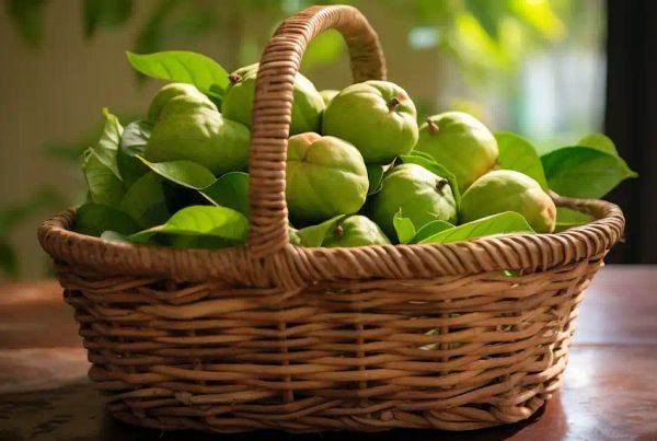 a basket with guava 1