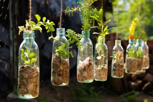 plastic bottles in the garden