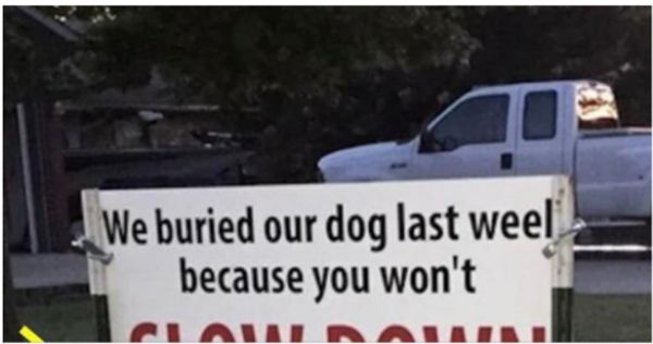 After Dog Gets Hit by Car, Neighborhood Takes Notice