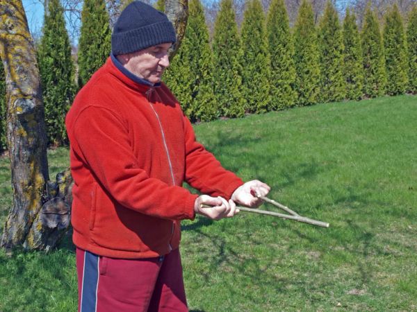 Water Dowsing