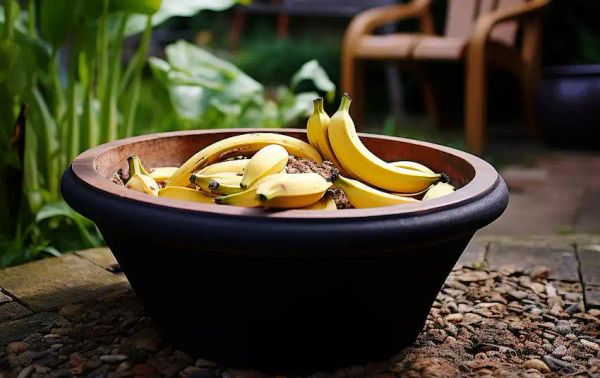 A bowl filled with banana peel fertilizer