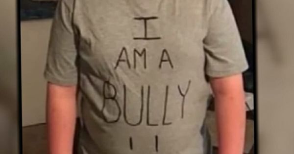 Mom’s Controversial Punishment for School Bully Sparks Outrage