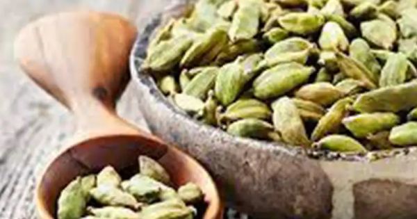 How to Grow Cardamom Plant from Seed and Care for Green Cardamom