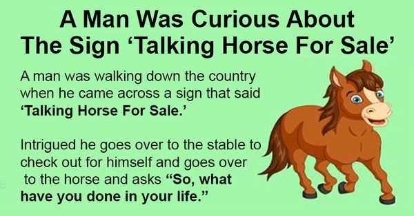 A Man Was Curious About The Sign ‘Talking Horse For Sale’