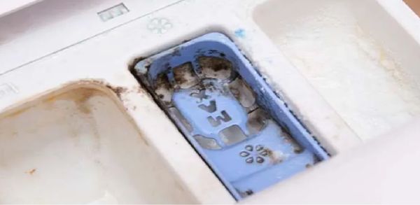 A great tip to revitalize your washing machine drawer: getting rid of mold