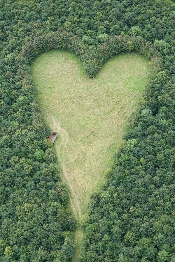 The heart-shaped seat in the field