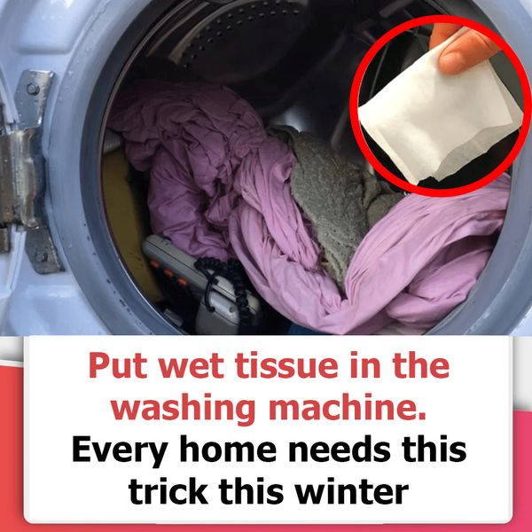 Put wet tissue in the washing machine. Every home needs this trick this winter