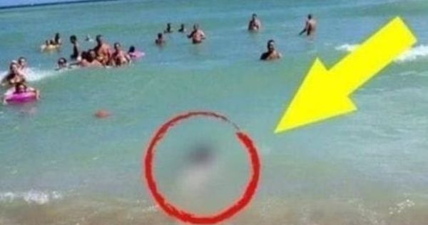 The Moment People were Speechless when they saw what emerged from the sea…