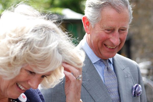 Queen Camilla Furious About Prince Harry’s Unapproved Visit to See the King