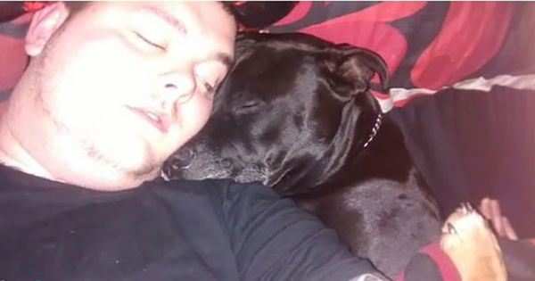 Man decides to take his own life – then he realizes what's in his dog's mouth