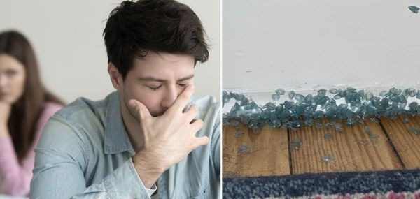 He Didn’t Know About His Girlfriend’s Disgusting Habit Until He Cleaned The Bedroom