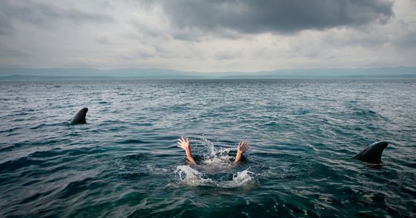 A Terrifying Encounter: Eight-Year-Old Boy Attacked by Sharks in the Bahamas