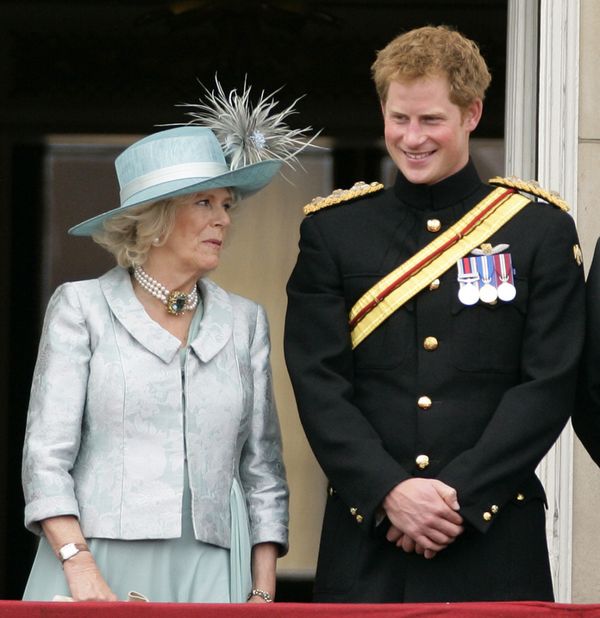 Sensational Claims about Queen Camilla and Prince Harry’s Relationship