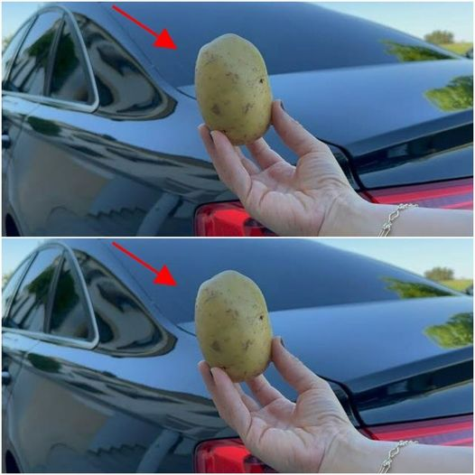 The Versatile Potato: A Lifesaver on the Road