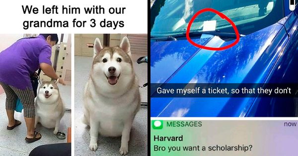 50 Random Memes To Keep You Entertained