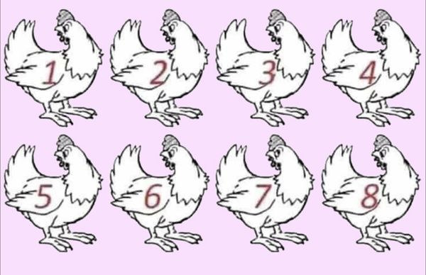 Which Chicken Is Different? Test Your Attention to Detail!