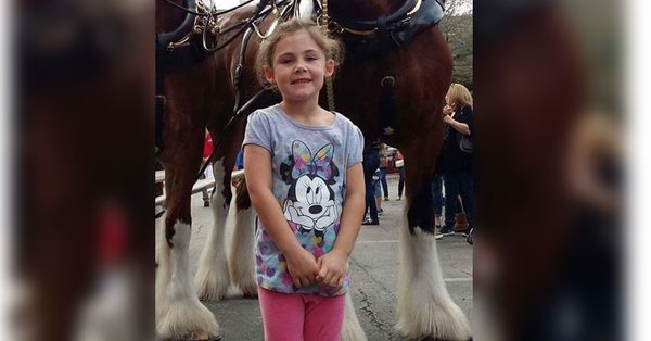 Dad takes daughter’s photo in front of giant horse, looks closer and can’t stop laughing