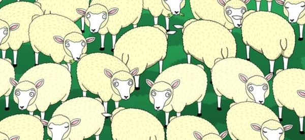 How Smart Are You? Find the Hidden Wolf Among the Sheep