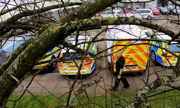 Cop Goes Into Full Detective Mode When He Hears A Bird Making Siren Sounds