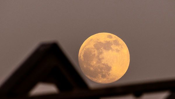 Full Flower Moon