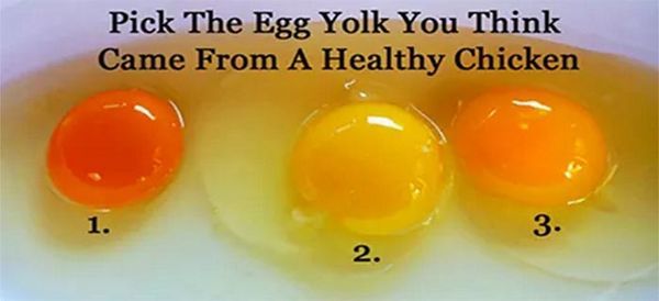 How to Choose Healthy Eggs for Cooking