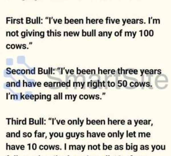 Three Bulls on a Ranch