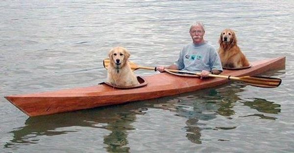 A Kayak Made for Dogs: A Heartwarming Story