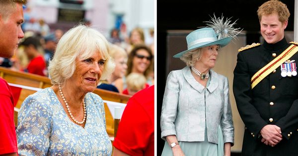 Queen Camilla 'outraged' after Prince Harry's visit to see his father for "loving son PR stunt", claims source