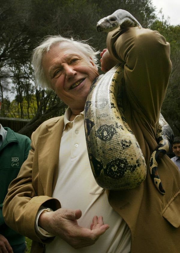 Sir David Attenborough is Back for the Final Installment of ‘Planet Earth’!