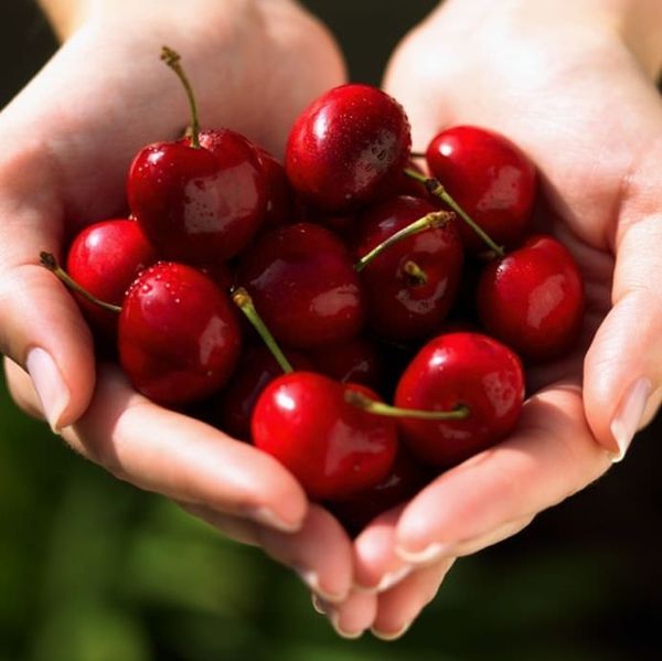 The Health Benefits of Cherries: What Happens in Your Body?