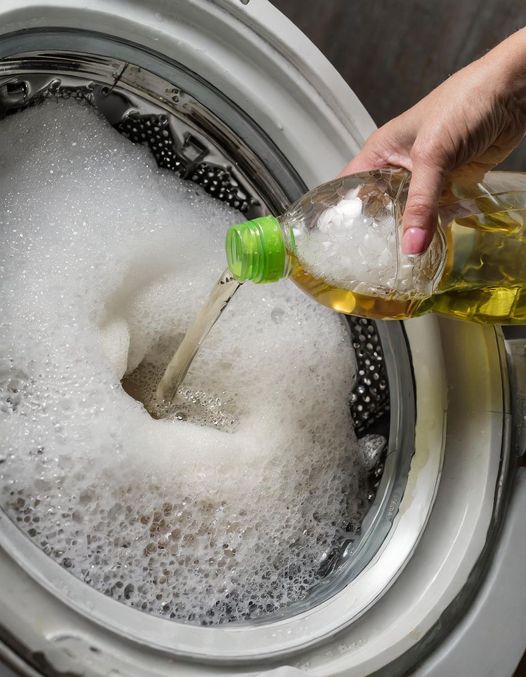 Vinegar is the Key to Whiter Whites and Softer Towels, But Most Use it Wrong. Here’s the Right Way to Use it