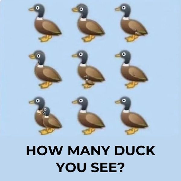How Many Ducks are in the Picture? The Viral Puzzle Sweeping the Internet!