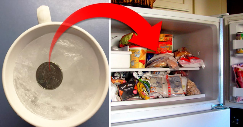 Here’s Why You Should Leave a Coin in the Freezer Before Leaving the House