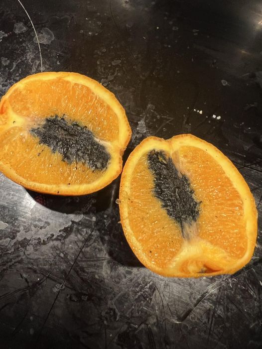 Can I Eat Oranges That Have Black Stuff Inside?