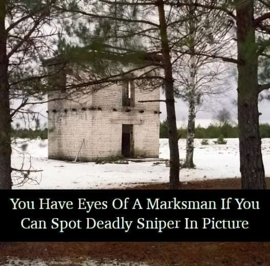 You have eyes of a marksman if you can spot deadly sniper in picture