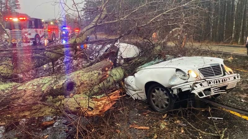 Beloved Comedian Dies in Tragic Accident After Large Tree Branch Falls on Him