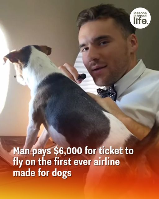 Man pays $6,000 buying ticket to fly on the first ever airline made for dogs