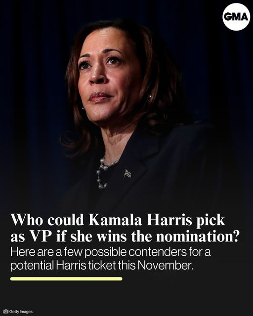 Who could Kamala Harris pick as VP if she wins the Democratic nomination?