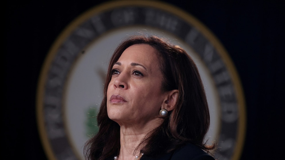 Who could Kamala Harris pick as VP if she wins the Democratic nomination?