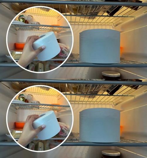 Put toilet paper in the fridge? This solves a big problem