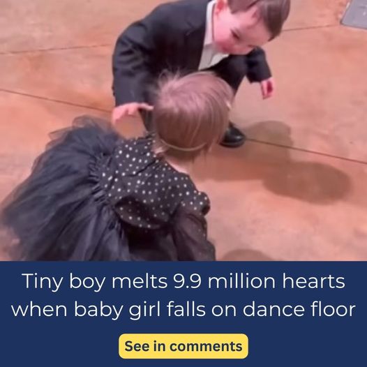 Little Boy Melts Millions Of Hearts When He Does The Unexpected At A Wedding