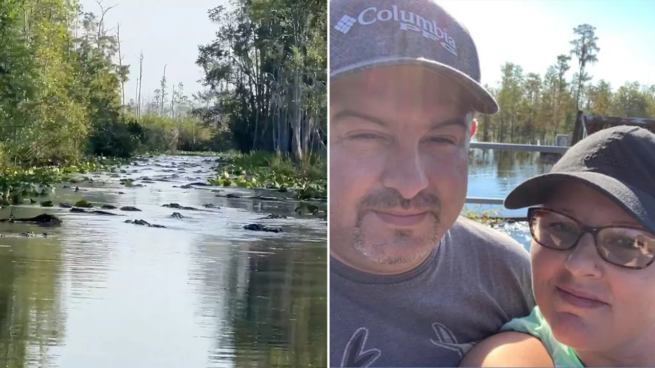 In Georgia’s Okefenokee Swamp, alligators swarm canal in viral video: ‘Gators everywhere’