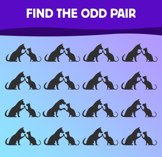 This Brain Exercise Will Test Your Skills To The Limit