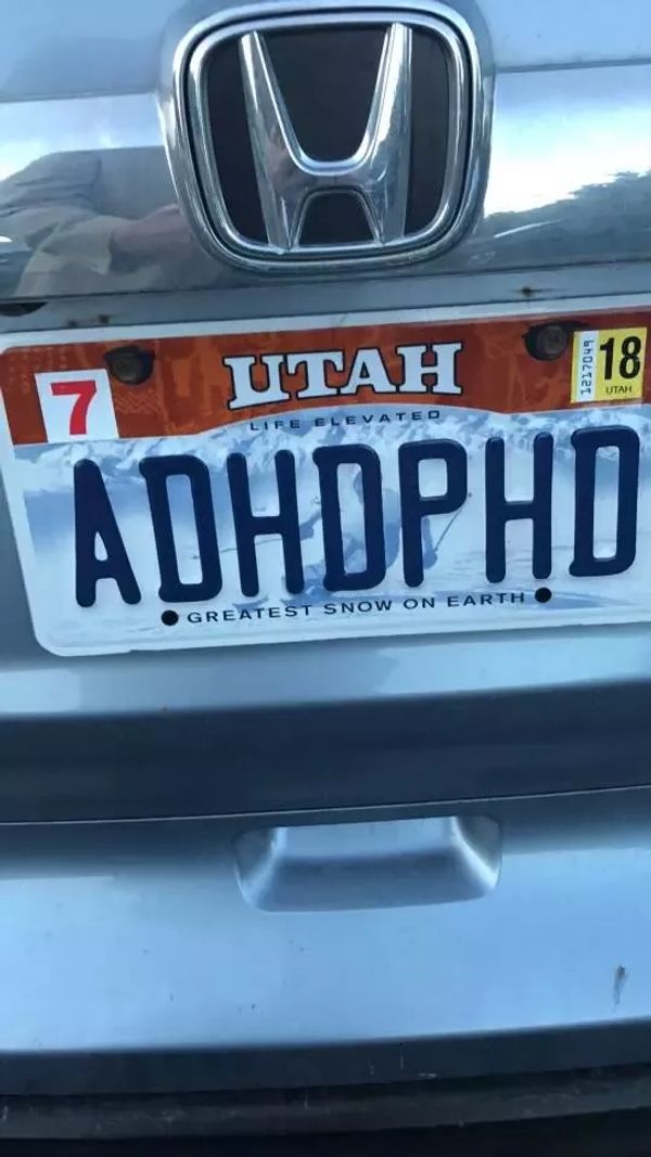 The License Plate That Sparked a Viral Sensation!