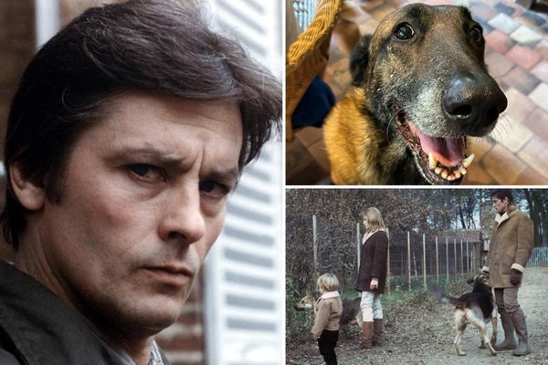 Alain Delon’s Dying Wish for His Beloved Dog Denied