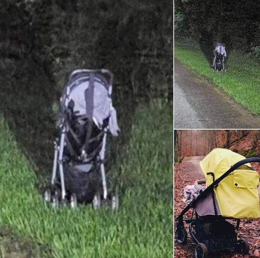 Woman Issues Frightening Warning After Finding a Stroller Abandoned on the Side of The Road