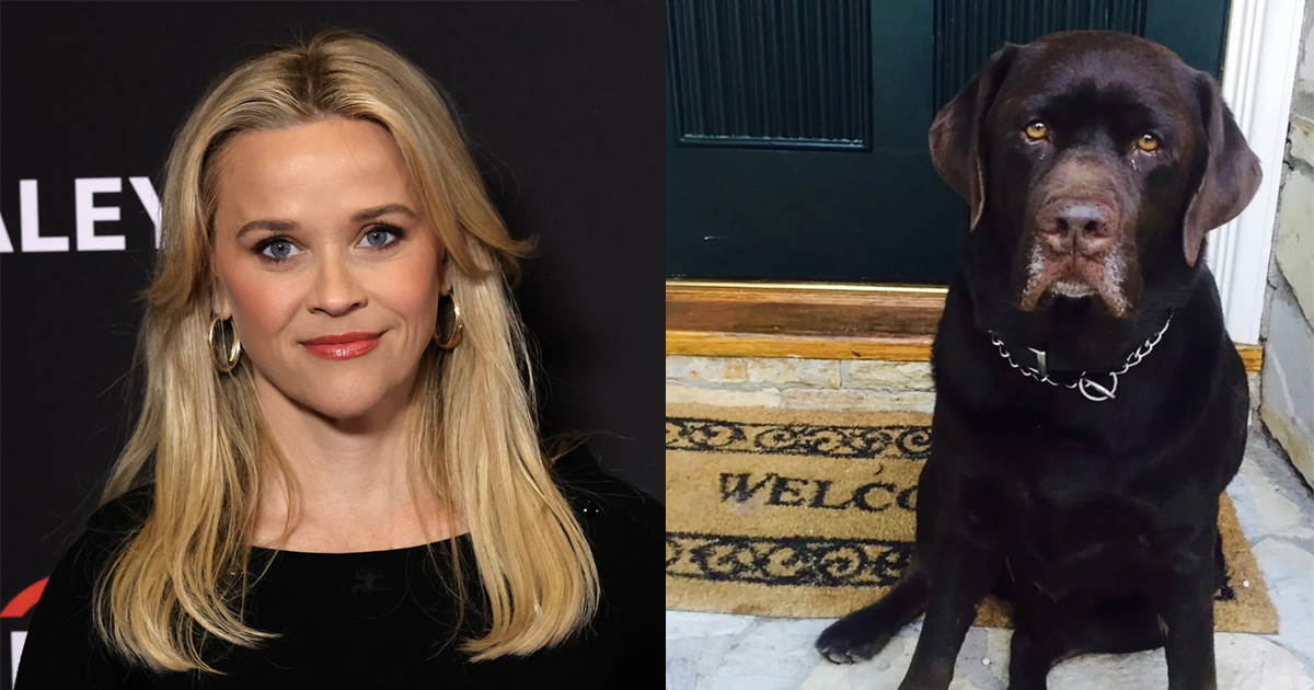 Reese Witherspoon mourns after the death of beloved dog Hank: “We will miss your sweet spirit”